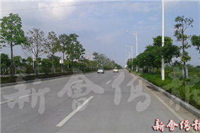 江门启超大道路灯工程